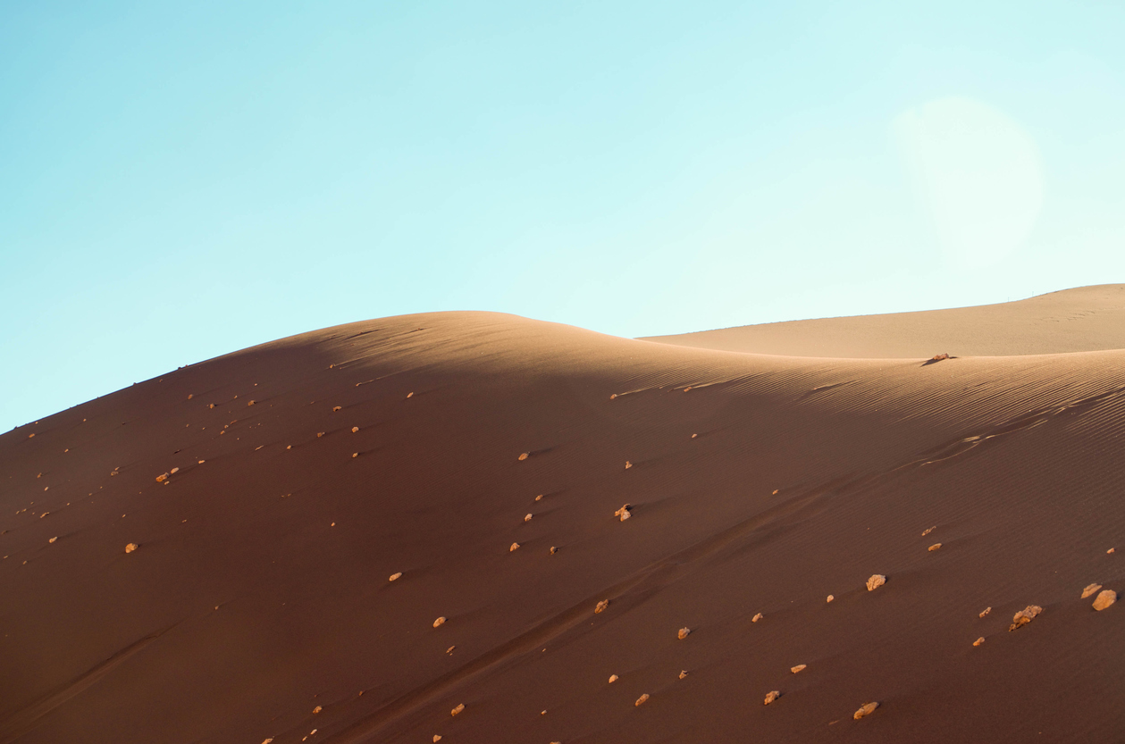 Atacama Dessert