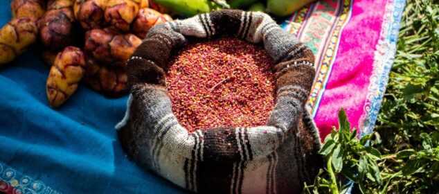 Andean tubers and green pods arranged around a bowl of colorful seeds