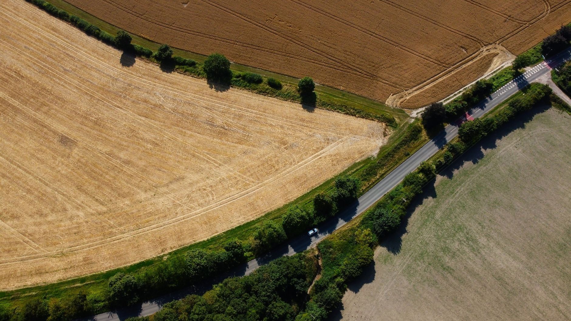 Aerial view of farm fields divided by tree-lined boundaries and roads